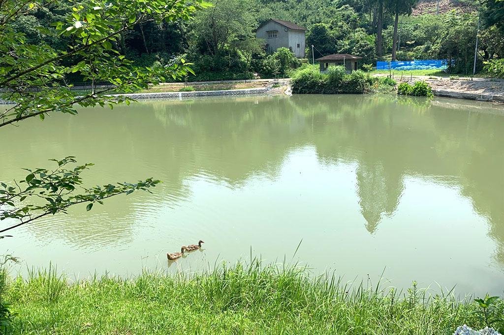 🌸 칸논가이케 시민의 숲 (칸논가이케 시민노모리) 이미지 1